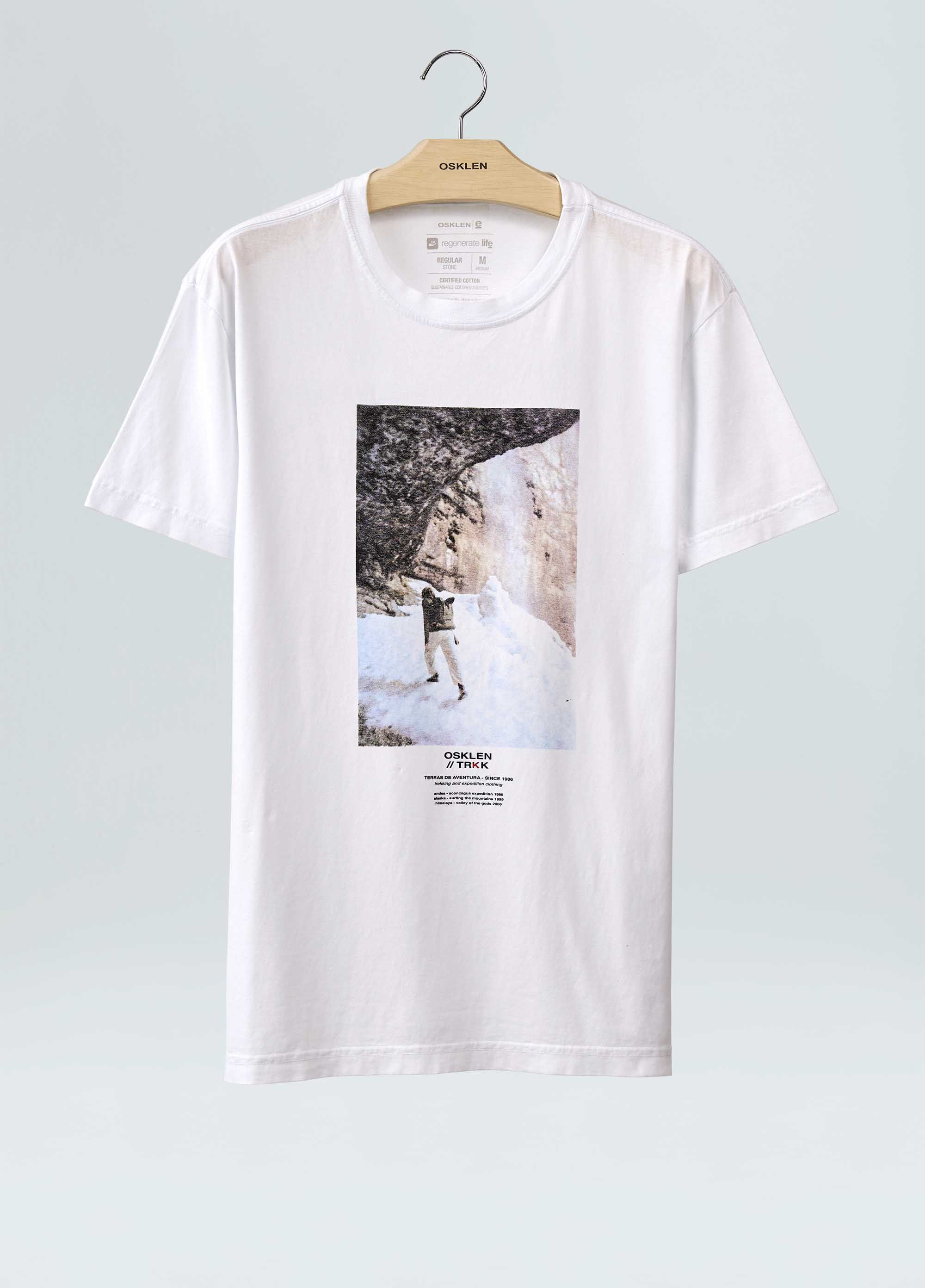 T-shirt stone trkk in the snow