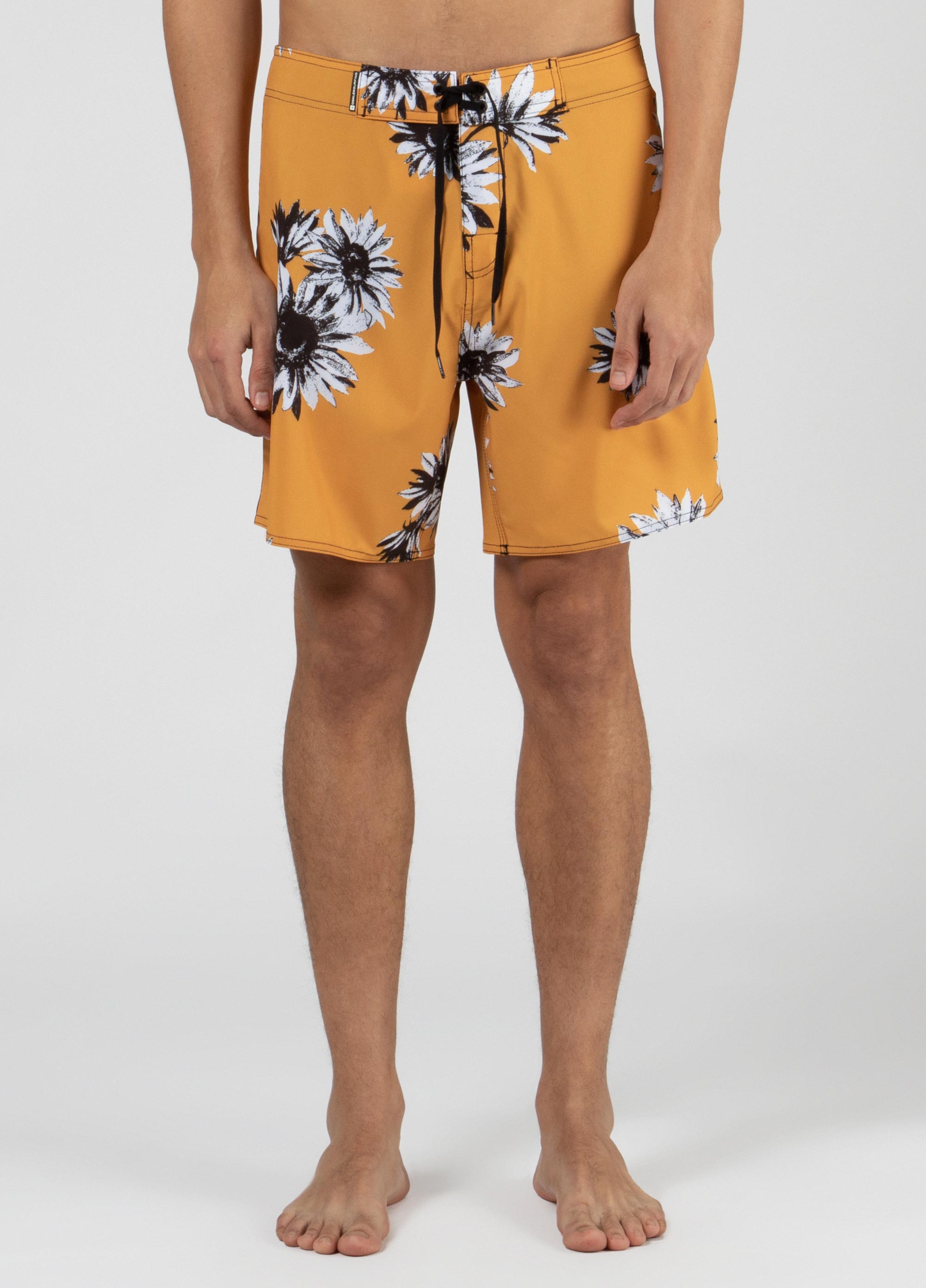 Bermuda surf yellow sunflower