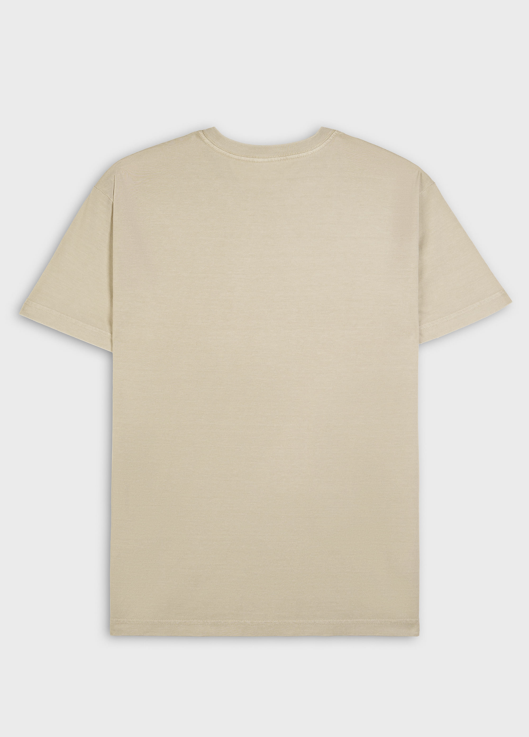 T-shirt stone amazon fishes