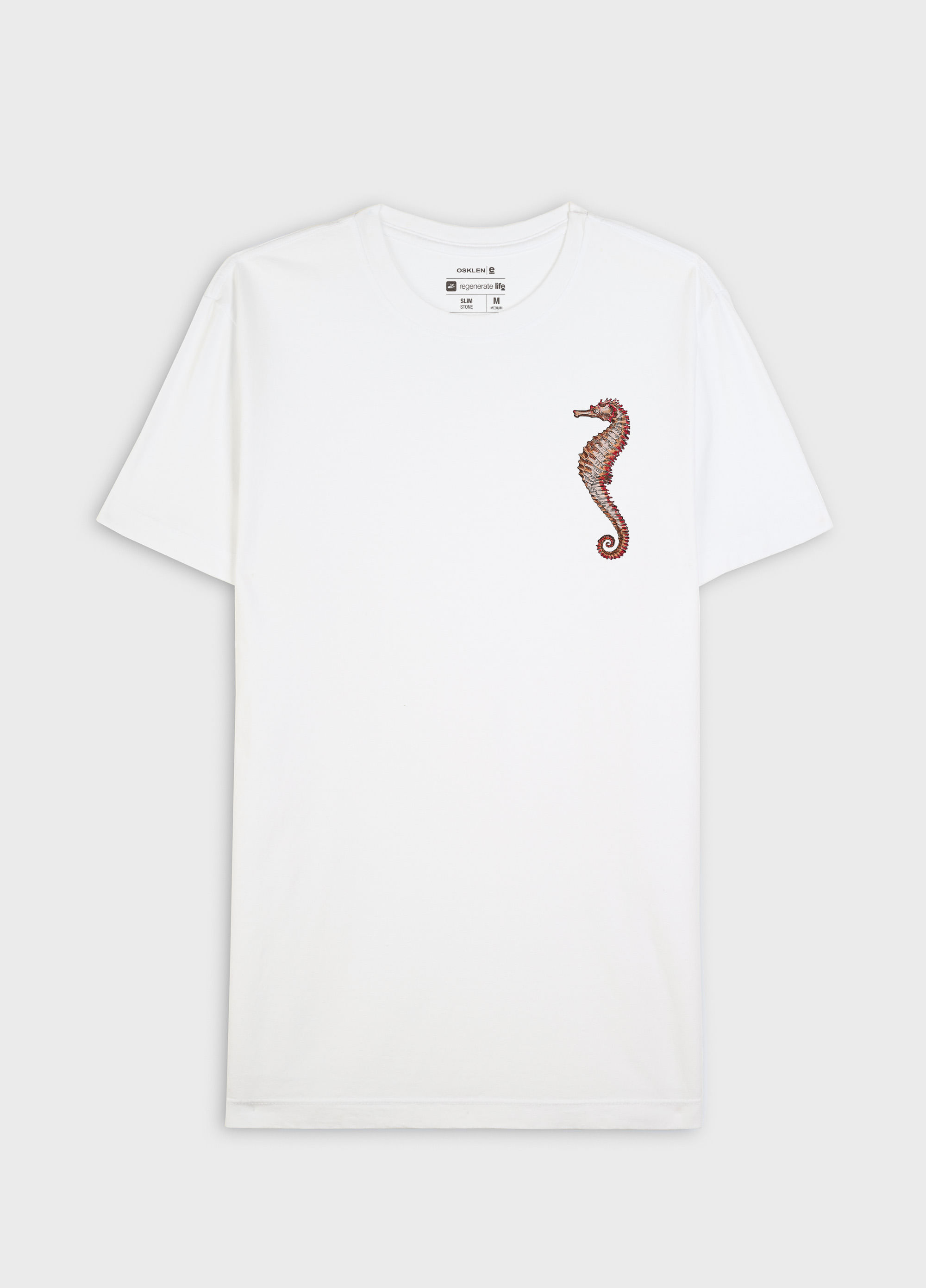 T-shirt stone sea horse colors