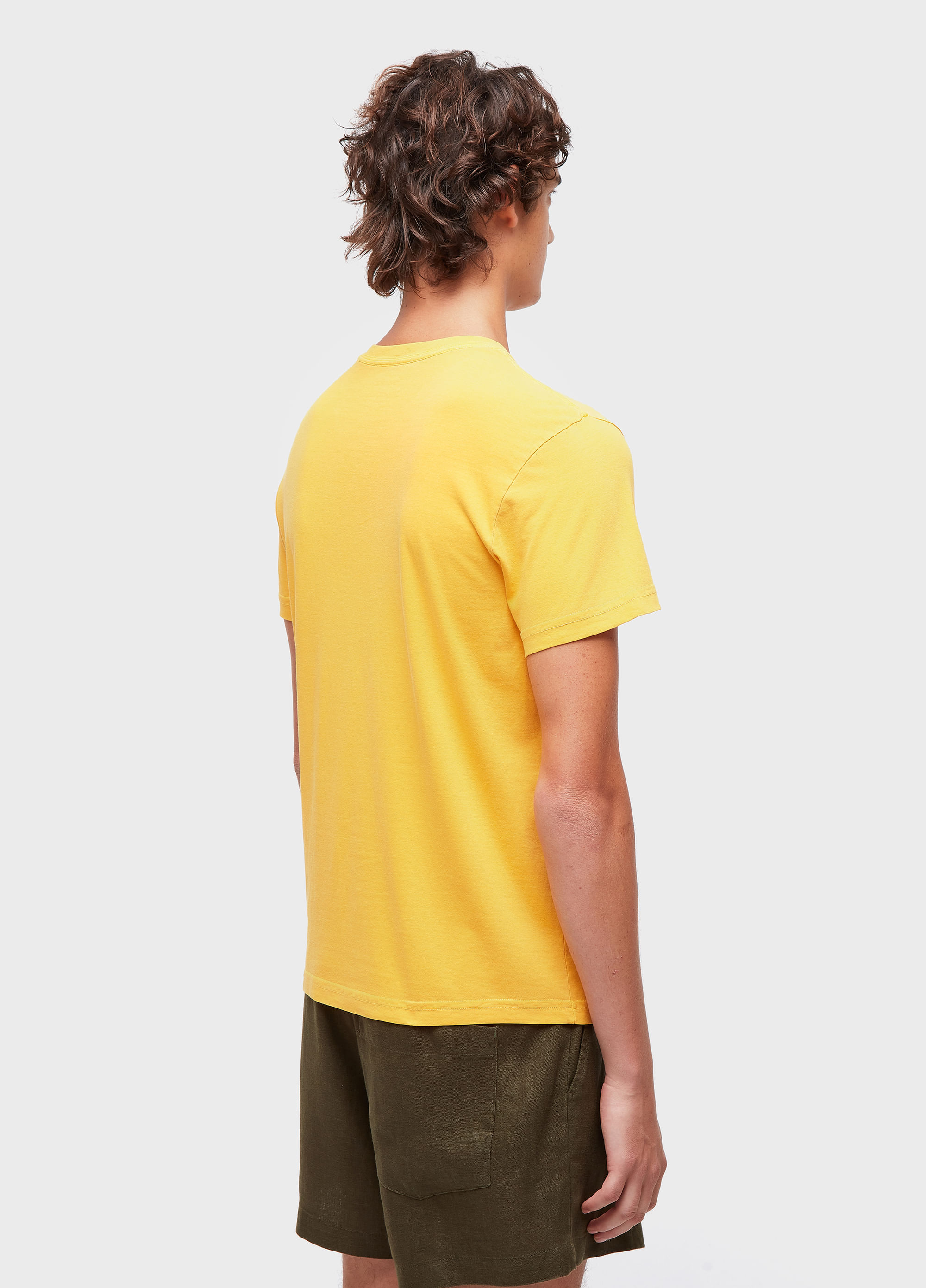 T-shirt stone brazilian soul