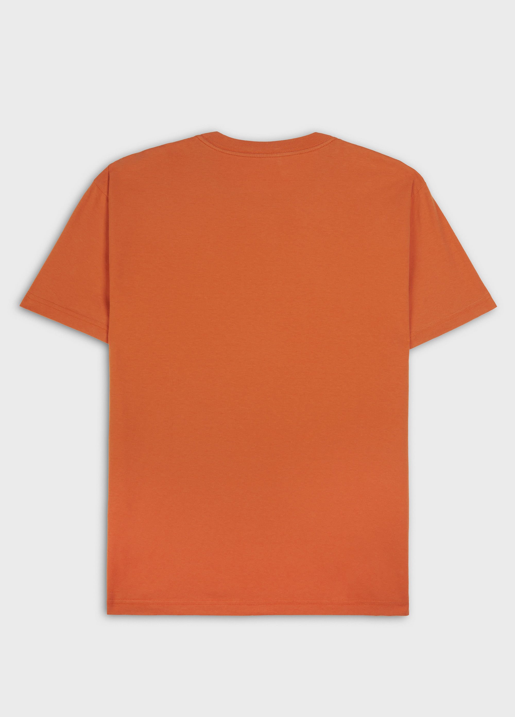 T-shirt vintage sprayicon