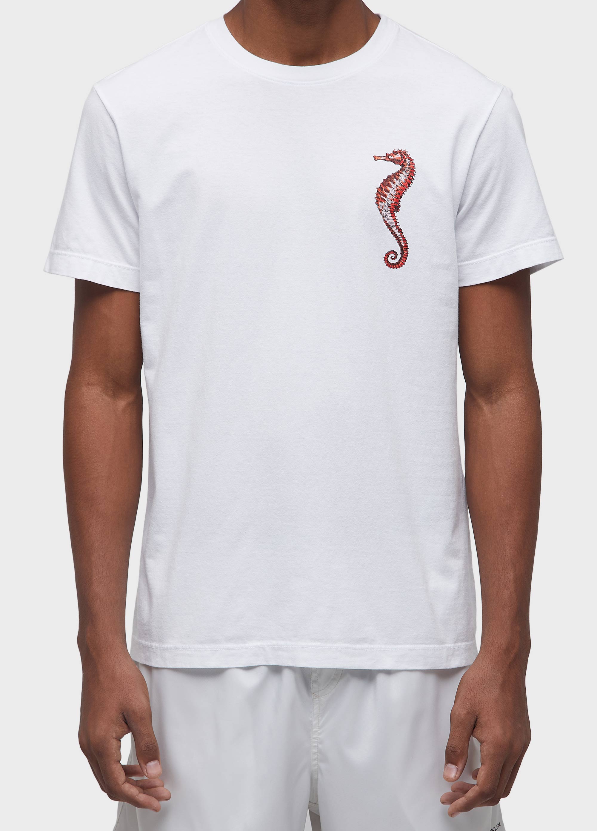 T-shirt stone sea horse colors