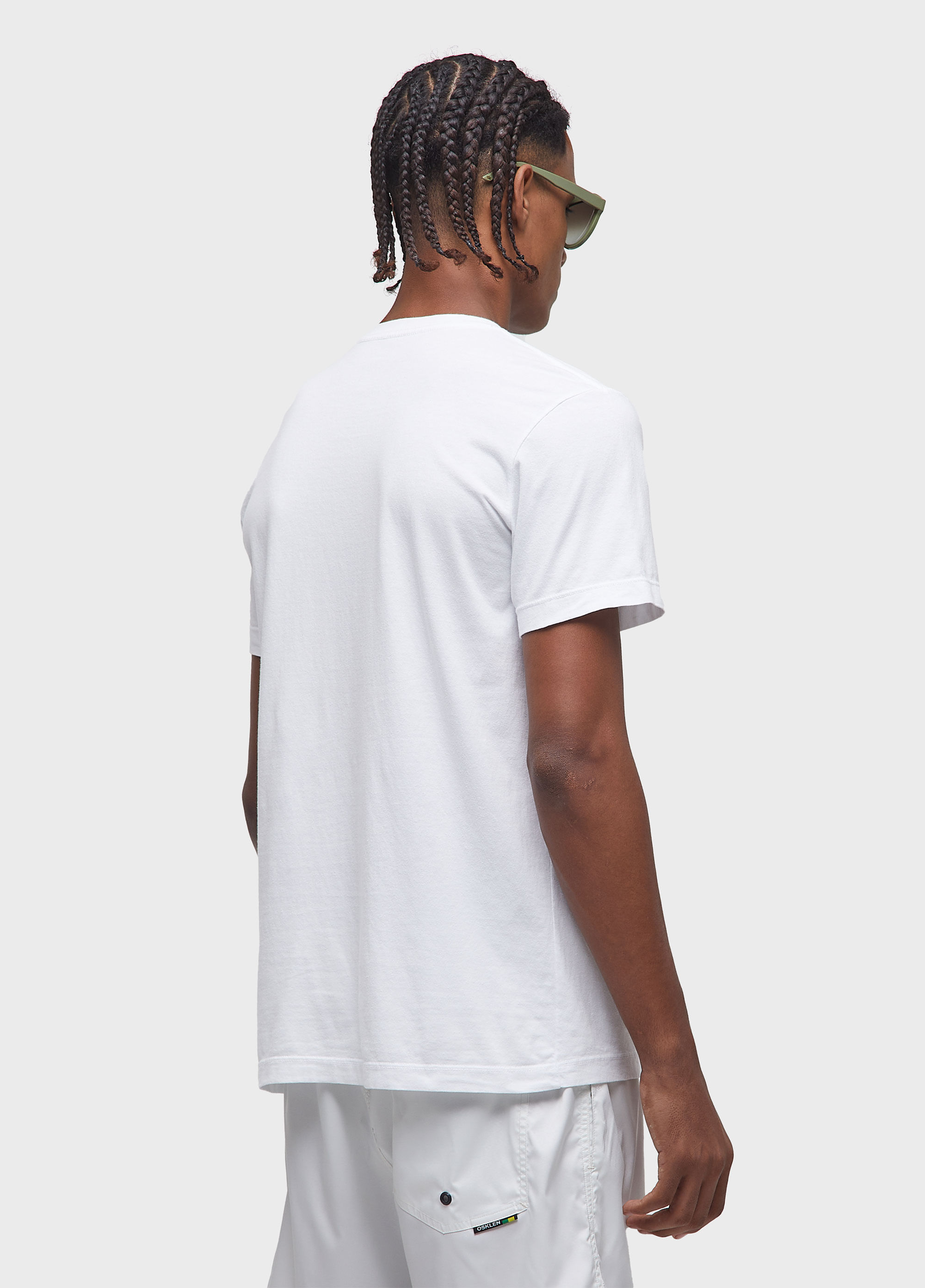 T-shirt stone sea horse colors