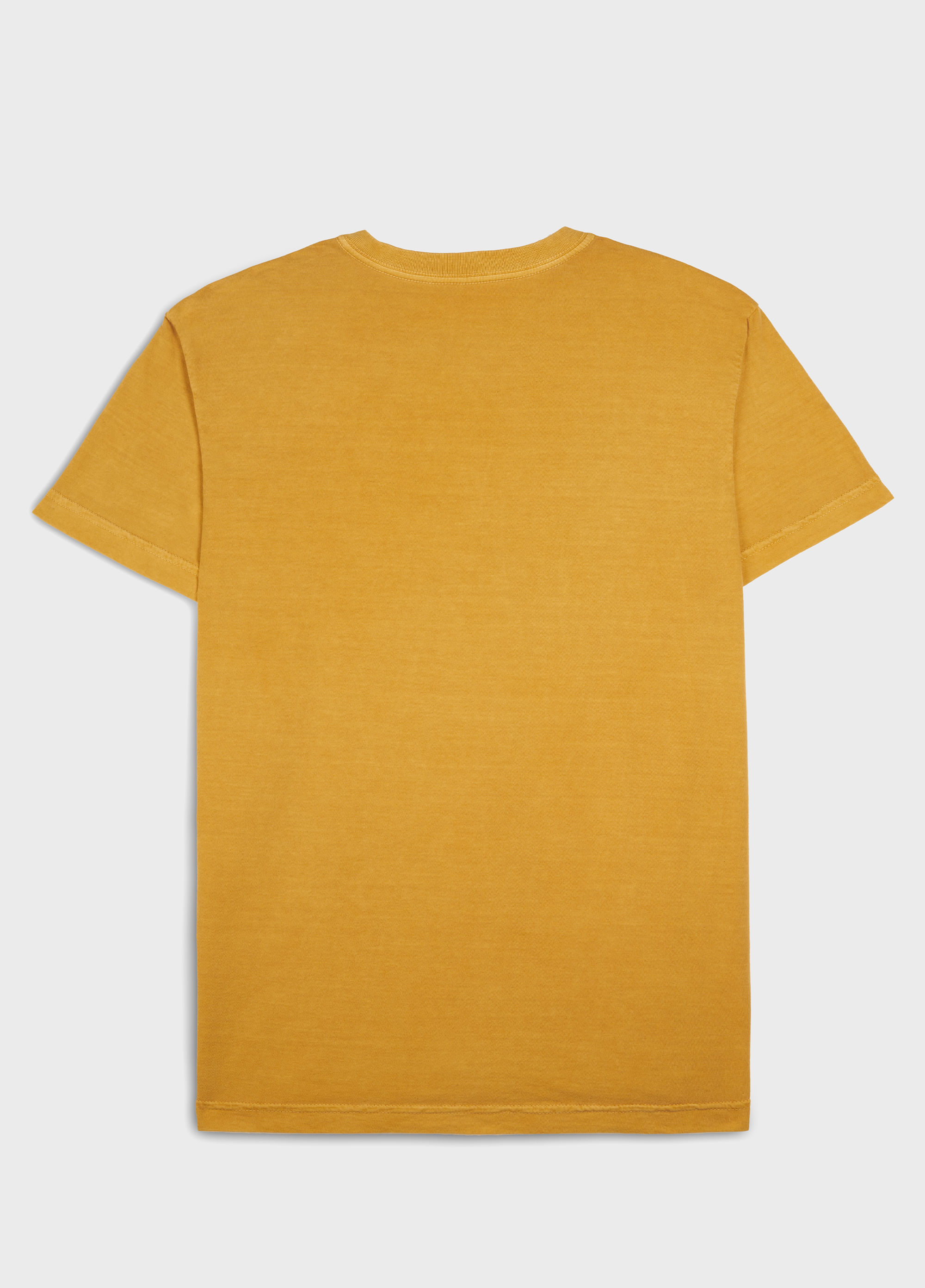 T-shirt stone capoeiristas