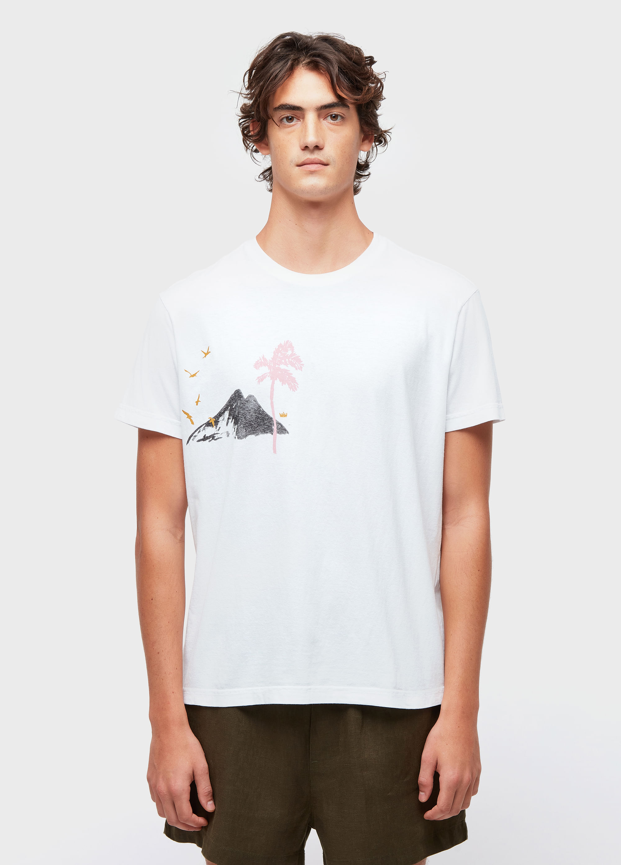 T-shirt stone rio paint