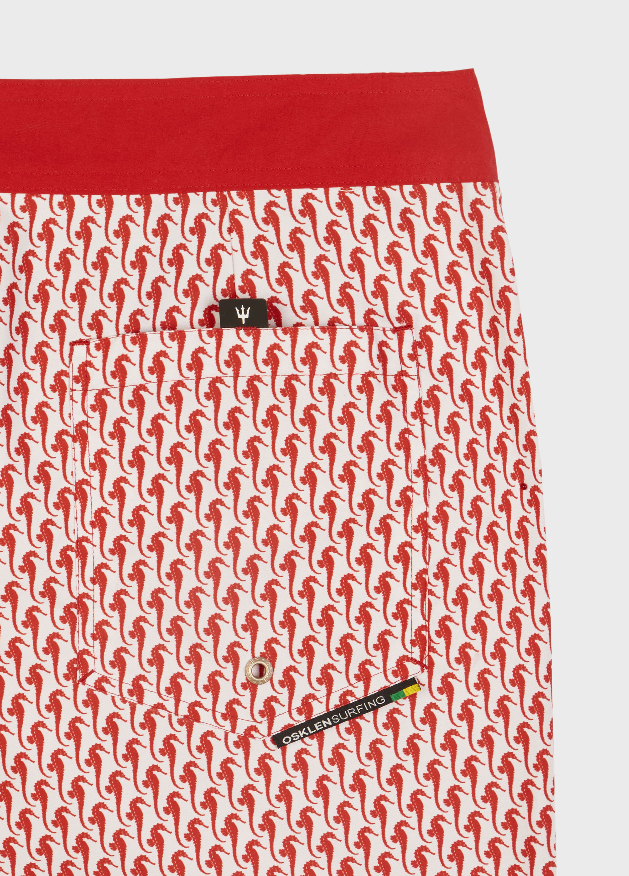 Bermuda surf seahorse tiny