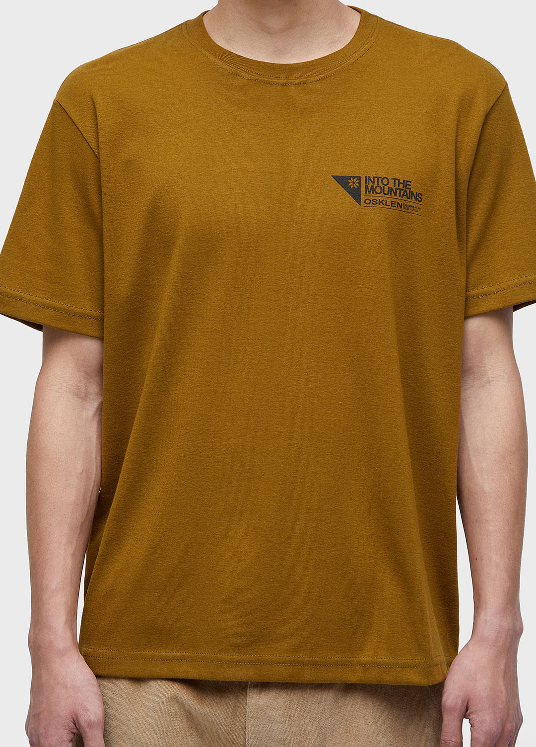 Big shirt carimbo itm