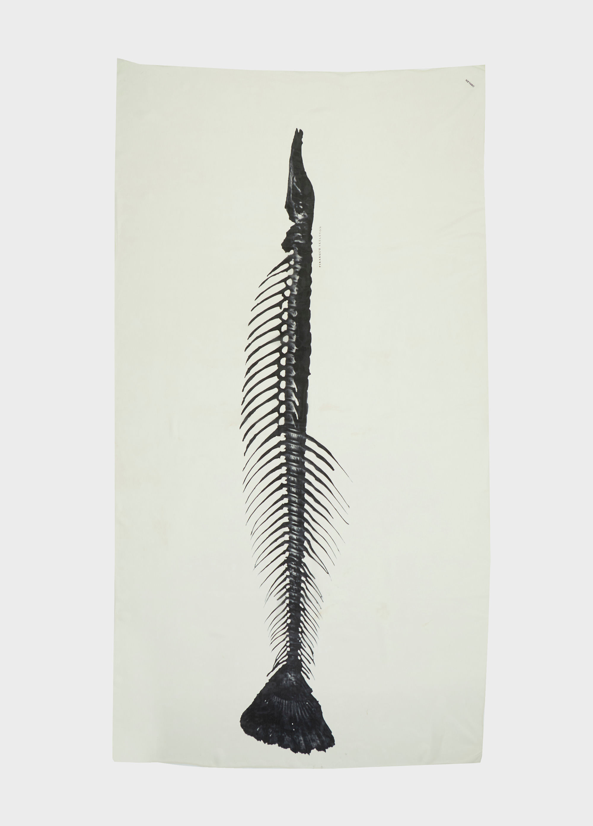 Lenço pirarucu spine
