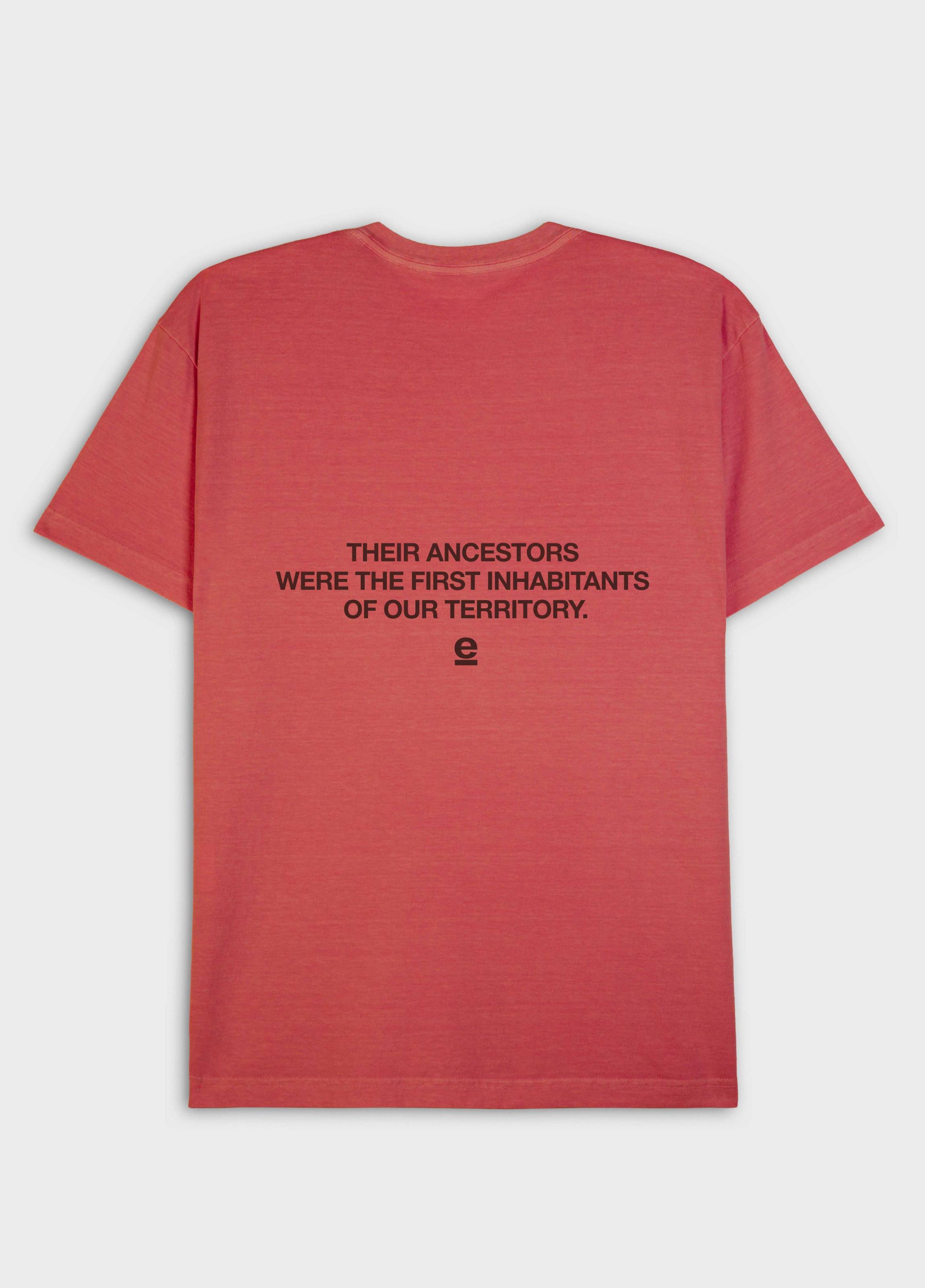 T-shirt stone biodiversity guardian