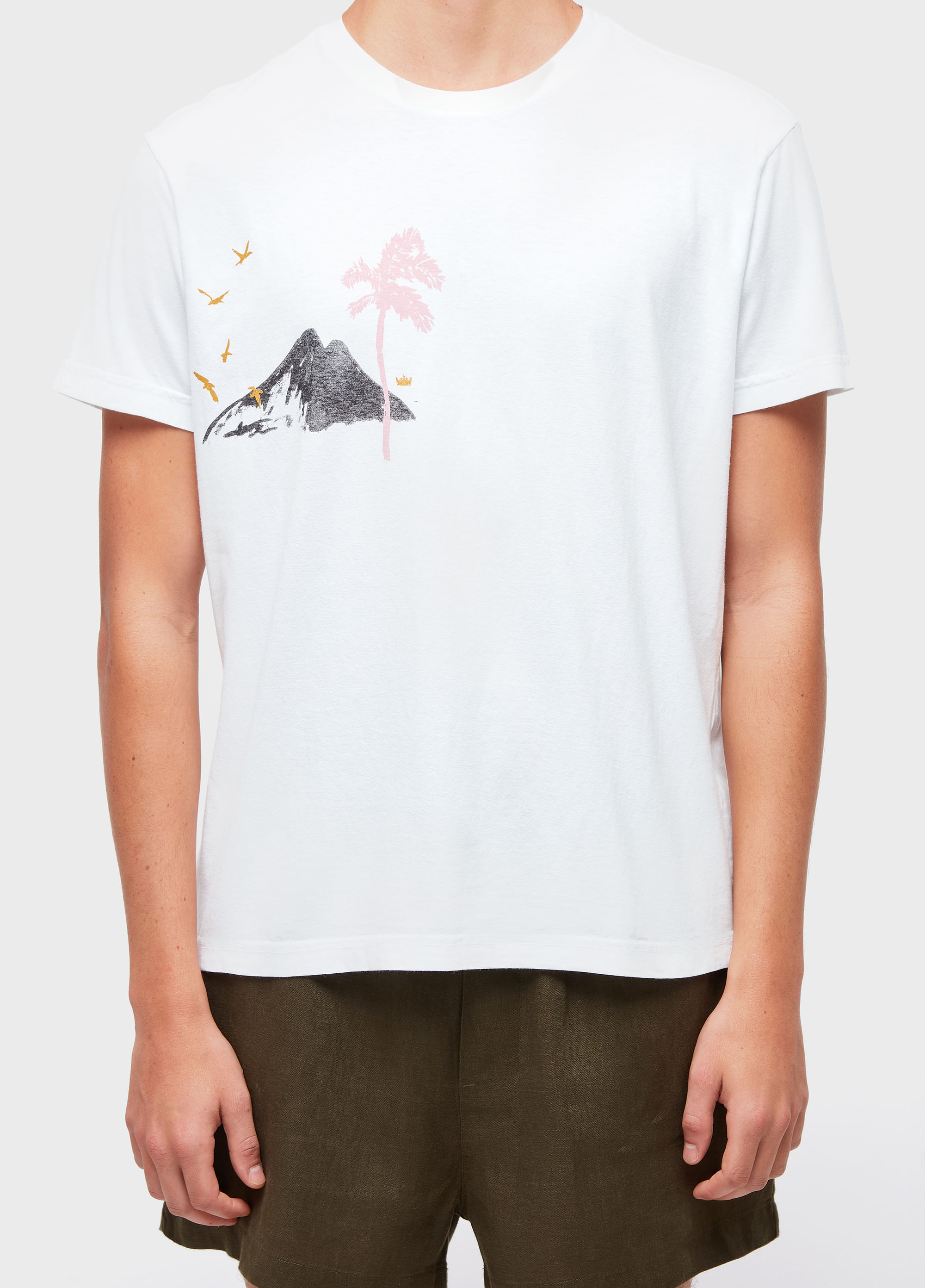 T-shirt stone rio paint