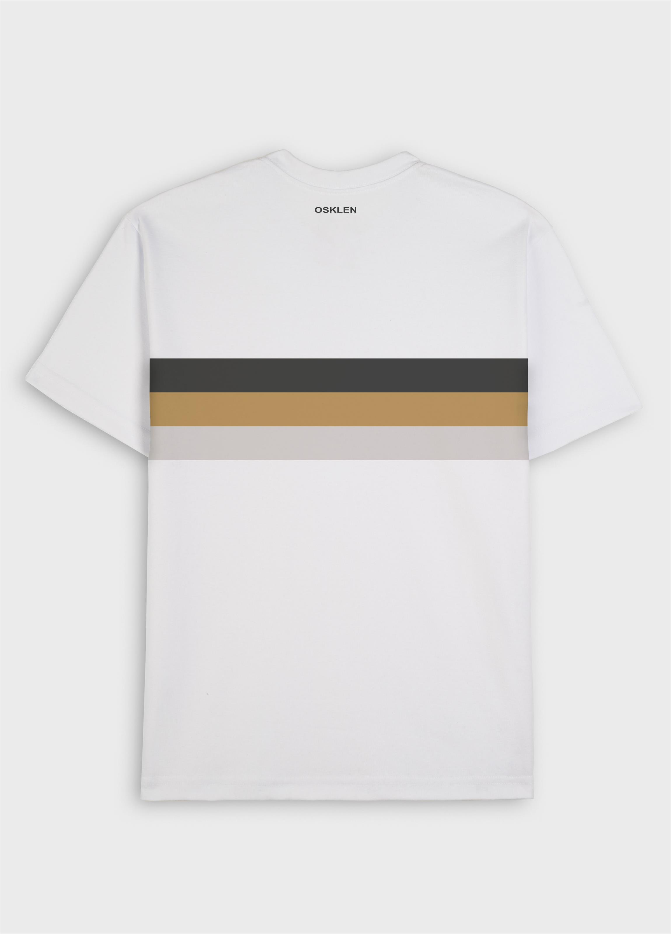 Big shirt listrado MC