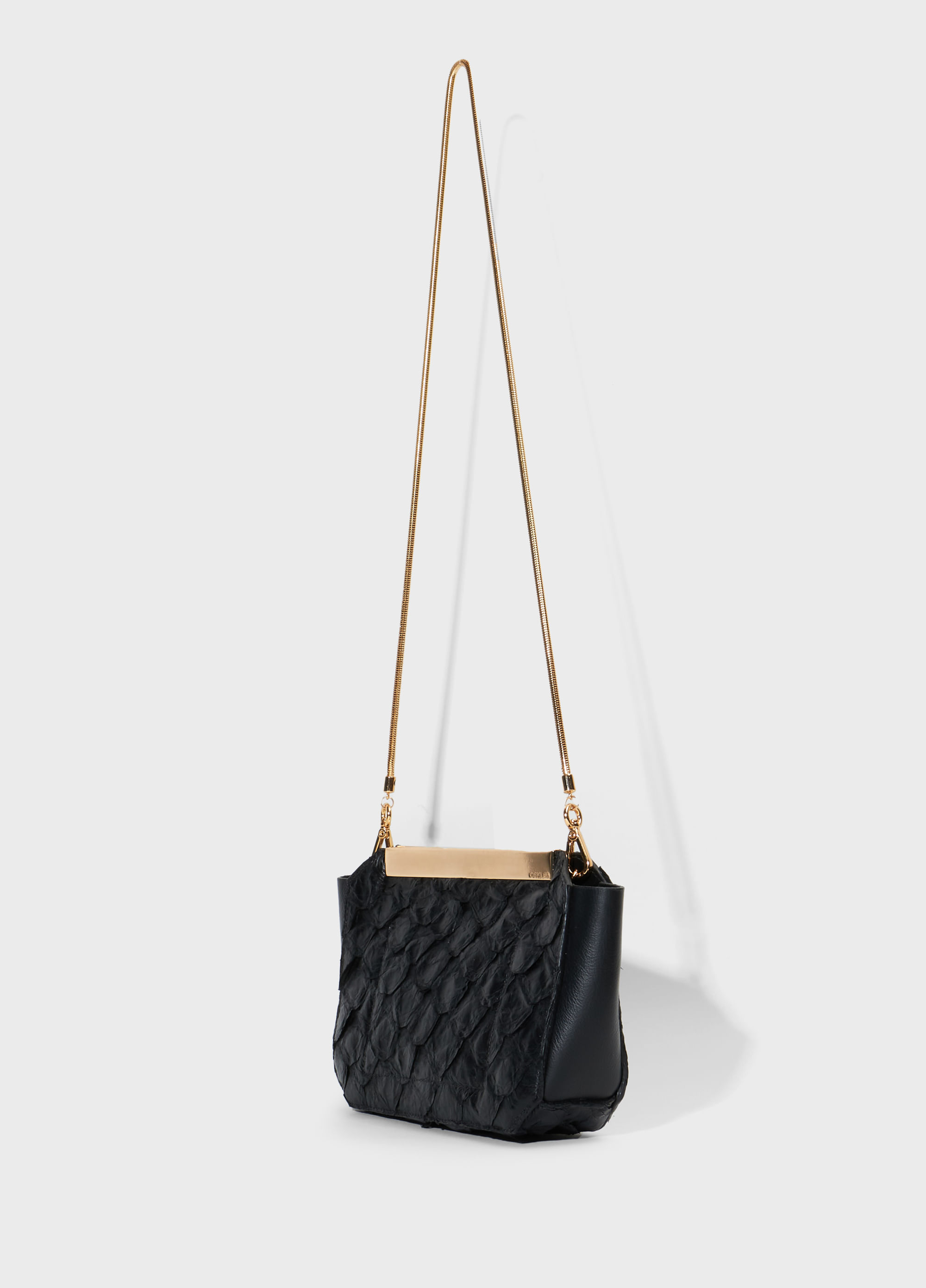 Bolsa pirarucu oky