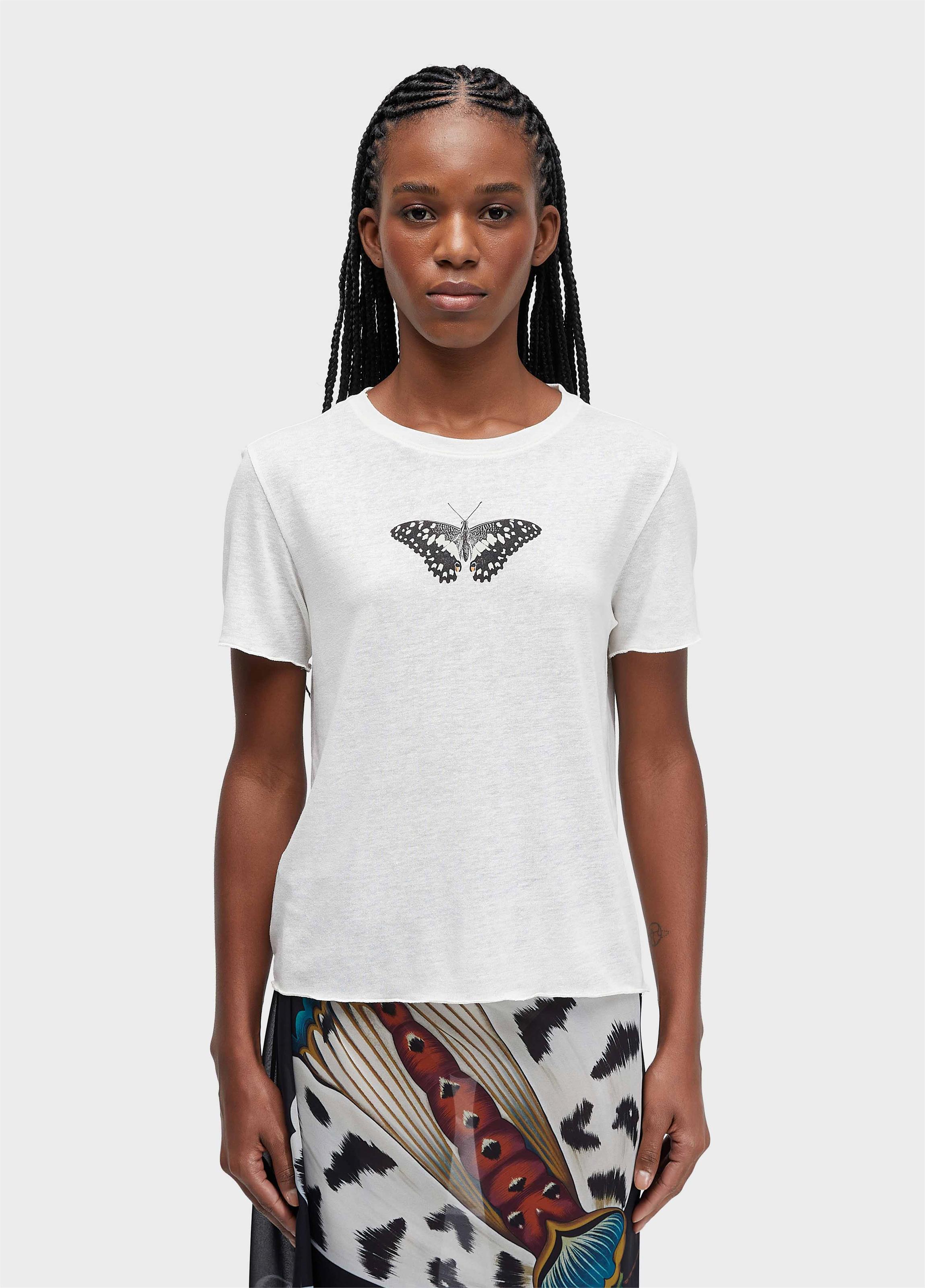 Tshirt borboleta nomenclatura