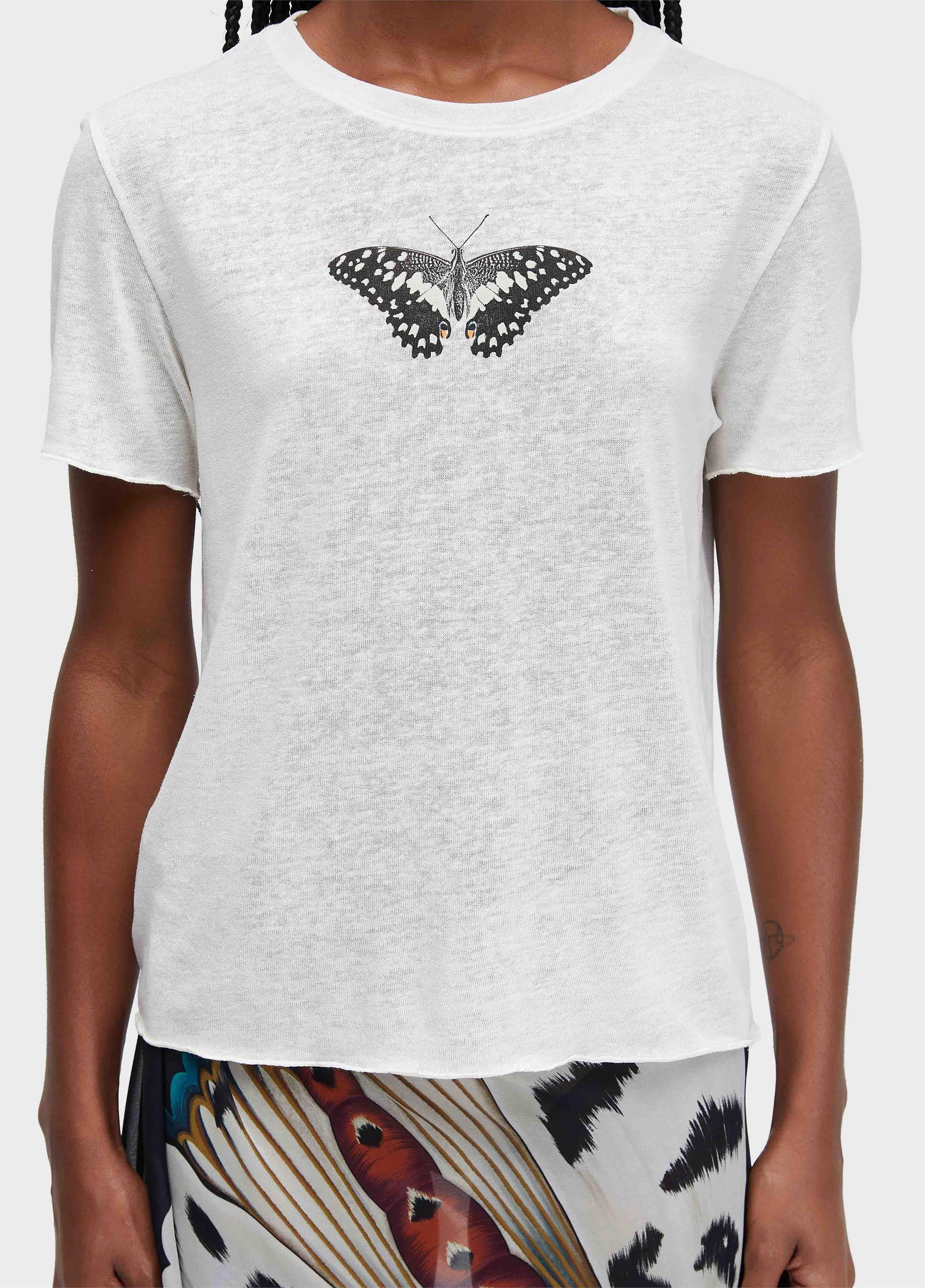 Tshirt borboleta nomenclatura