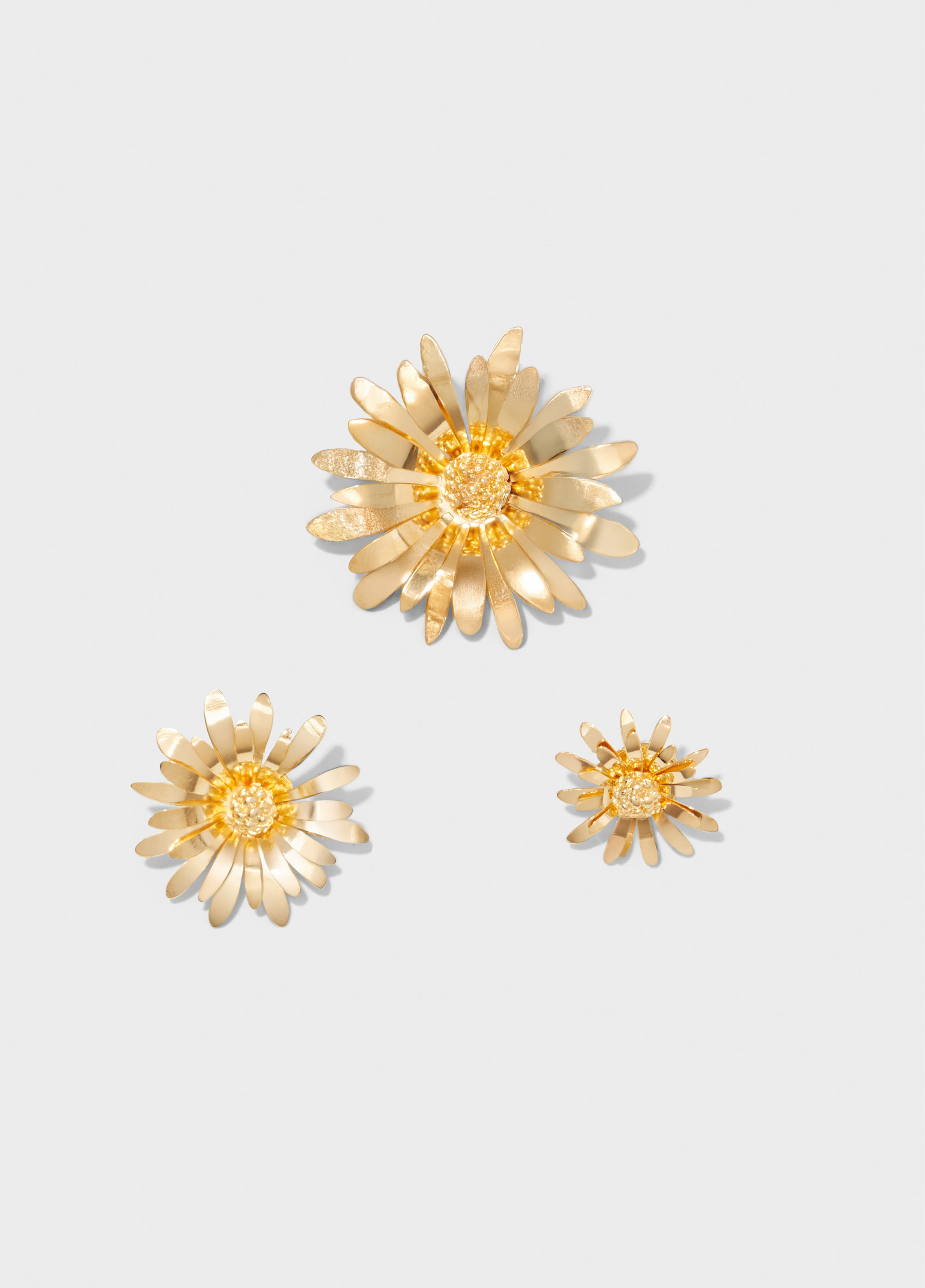 Conjunto broches daisy